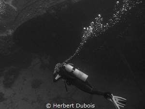 Diving the Hilma Hooker by Herbert Dubois 